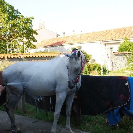 Ecurie De La Grange L'abbé Apartamento Le Langon