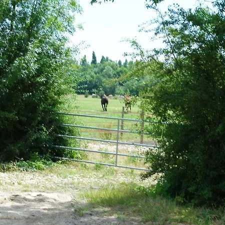 Ecurie De La Grange L'abbe