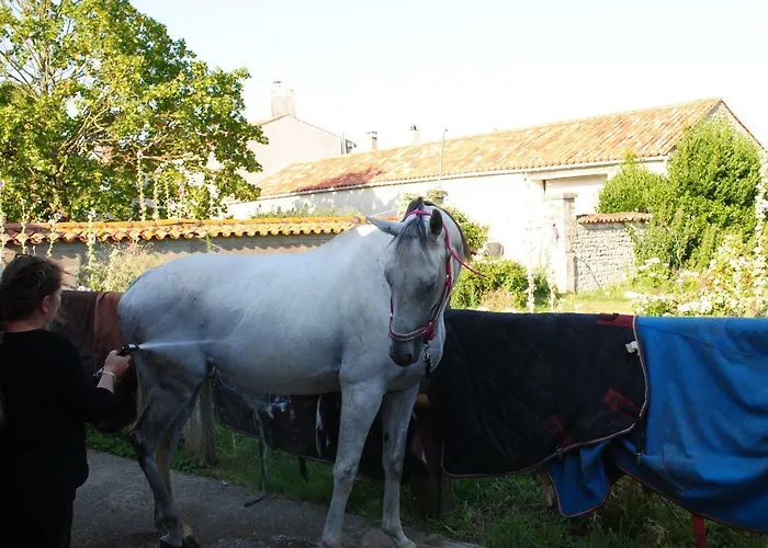 Ecurie De La Grange L'abbe アパート Le Langon