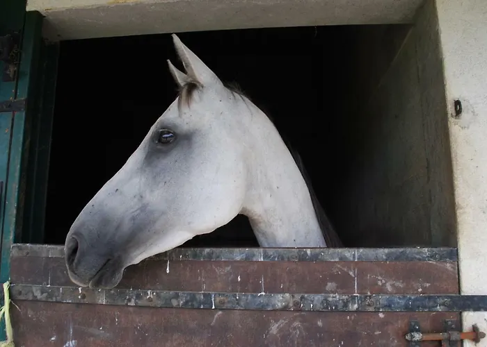 Ecurie De La Grange L'abbé