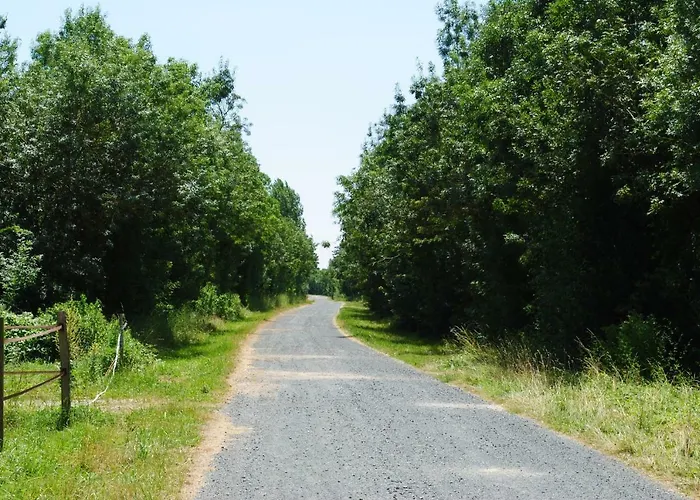 Ecurie De La Grange L'abbé Appartement Le Langon