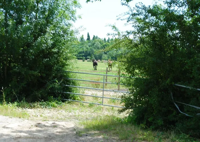 Ecurie De La Grange L'abbé